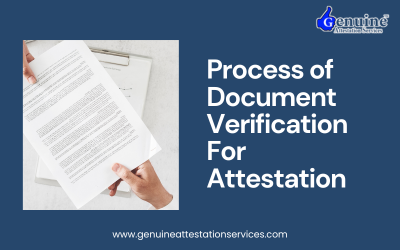 process of document verification